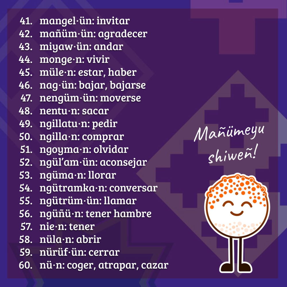 41-60